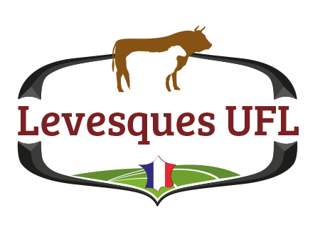 logo levesques UFL